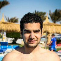 Ahmed A. Karim