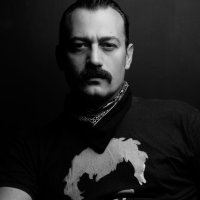 Vin Bejleri