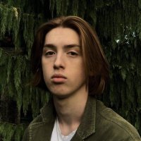 Vid Bešla /Bešlić